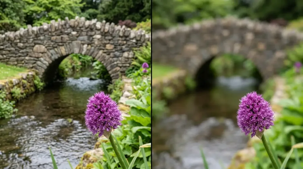 Depth of Field: Unleashing the Creative Power of Aperture